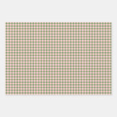 Roze Wit Groen Plaid Stripes Meisjes Verjaardag Inpakpapier Vel (Voorkant 2)