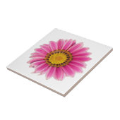 Roze witte achtergrond van Daisy Flower Tegeltje (Zijkant)