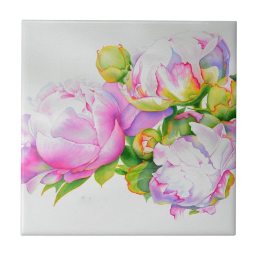 Roze witte aquarel bloemenschilderij pioenen rose tegeltje (Voorkant)
