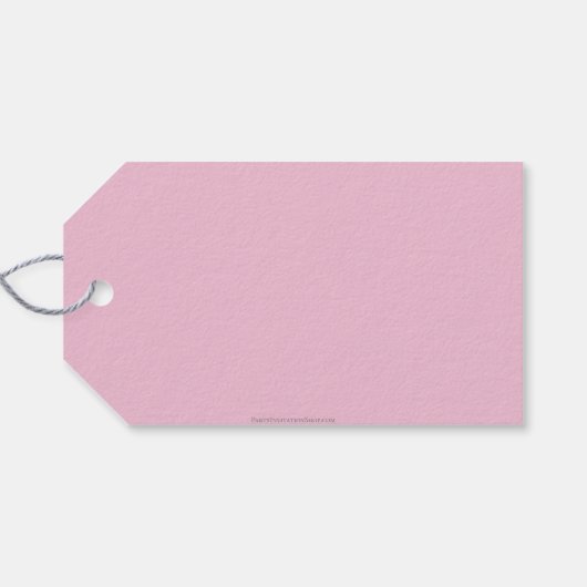 Roze Witte Ballonnen Quinceañera Favor Cadeau Labe Cadeaulabel (Achterkant Horizontaal)