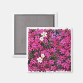 Roze & witte bloemen magneet (Voorkant / Achterkant)