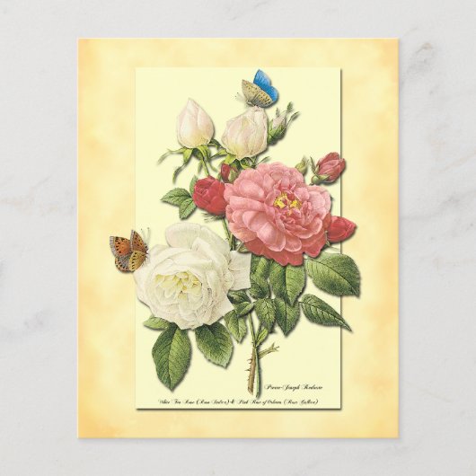 Roze Witte  Botanische Rozen Flyer Sjabloon (Voorkant)