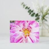Roze Witte Dahlia Bloedbloemen briefkaarten Floral (Staand voorkant)