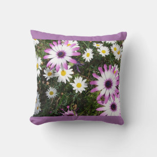 Roze witte Daisy Daisies flower Floral Cushion Kussen