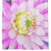 roze, witte en gele cactus Dahlia Macro Douchegordijn (Voorkant)