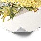 Roze, witte en gele  chrosanthema poster (Hoek)