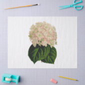  roze witte groene krantenbloemen #2 Tiss Tissuepapier (Craft)