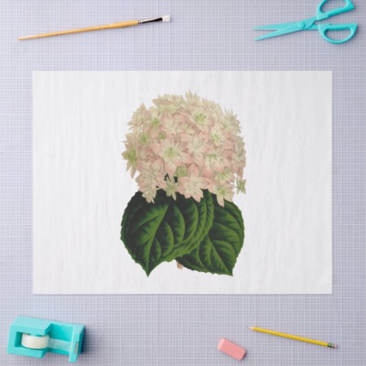  roze witte groene krantenbloemen #2 Tiss Tissuepapier (Craft)