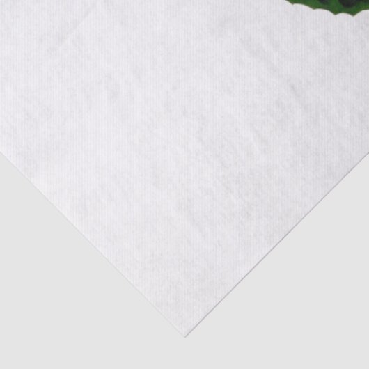  roze witte groene krantenbloemen #2 Tiss Tissuepapier (Detail)