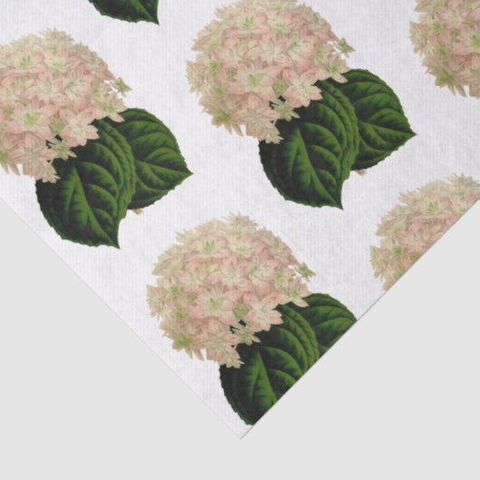  roze witte groene krantenbloemen #2 tissuepapier (Detail)