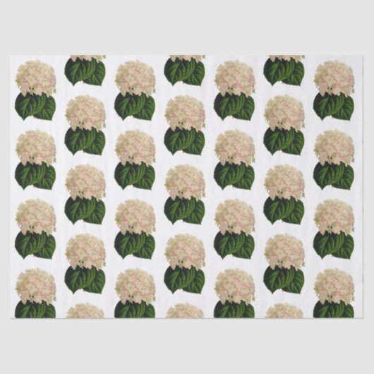  roze witte groene krantenbloemen #2 tissuepapier (Voorkant)