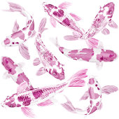 Roze witte koi vis tissuepapier