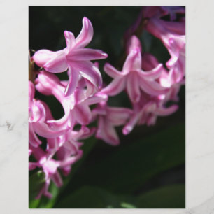 Roze-witte lentebloemen