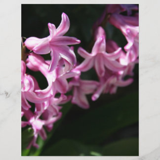 Roze-witte lentebloemen