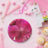 roze, witte, orchidebloem, natuur, zomer, tuin papieren bordje (Feest)