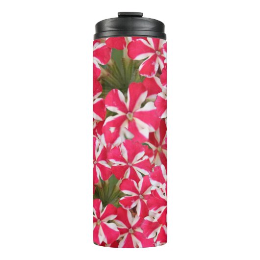 roze witte pepermuntbloem thermosbeker (Voorkant)