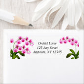 Roze witte phalaenopsis Orchid Flowers Labels (Insitu)
