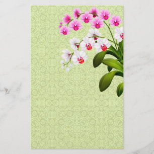 Roze witte phalaenopsis Orchid Flowers Stationery Briefpapier