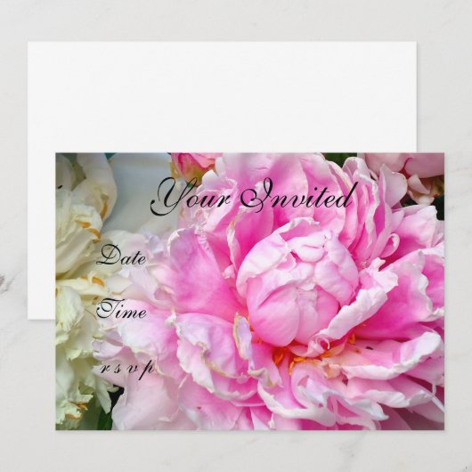 Roze Witte pioenen roze wit bloemig Kaart (Voorkant / Achterkant)