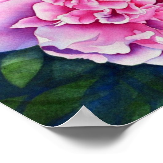 Roze witte pony schilderij | romantische bloem poster (Hoek)