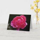 Roze, witte rand Roos, Florence Note Card Kaart (Gele Bloem)
