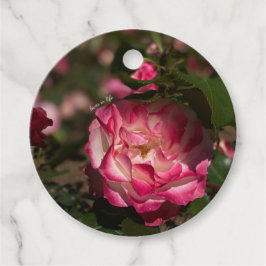 Roze & Witte Roos Bedankjes Labels