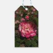Roze & Witte Roos  Cadeaulabel (Voorkant)