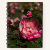Roze & Witte Roos, Hardcover Notitieboek (Voorkant)