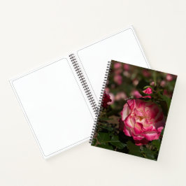Roze & Witte Roos, Hardcover Notitieboek