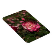 Roze & Witte Roos Magneet (Rechterzijde)