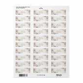 Roze Witte Roos Waterverf Bruiloft Retouradres Etiket (Full Sheet)