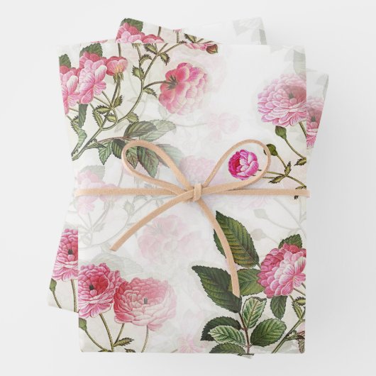 Roze witte rozen Papier Platte vellen Reeks 3 (In situ)