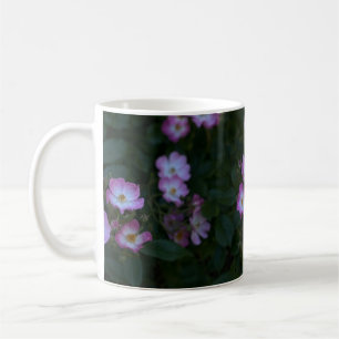 Roze & Witte Struik Roos Koffiemok