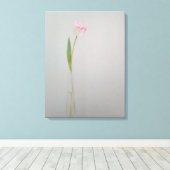 Roze witte Tulp in Vase Canvas Afdruk (Insitu (Houten vloer))
