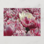 Roze Witte Tulpen Patroon Beterschap Kaart (Voorkant)