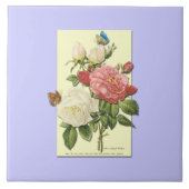 Roze witte Vintage Botanische Rozen Tegeltje (Voorkant)