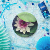 Roze,Witte Waterlelie, Lotus-Bloemdocument Bord (Feest)