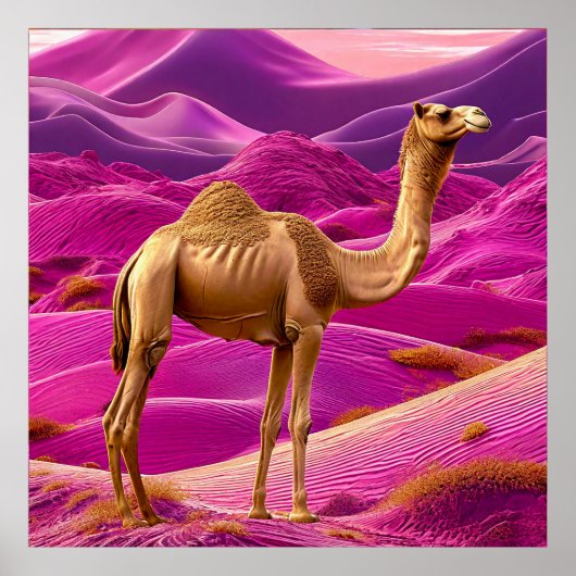Roze Woestijn Kameel Zonsondergang Dromerige Zand  Poster (Voorkant)