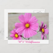 Roze WV wilde bloemen Briefkaart (Voorkant / Achterkant)