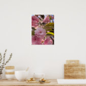 Roze Yaezakura Bloesem Poster (Keuken)