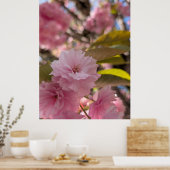 Roze Yaezakura Bloesem Poster (Keuken)