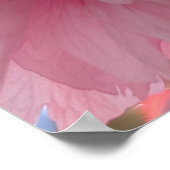 Roze Yaezakura Bloesem Poster (Hoek)