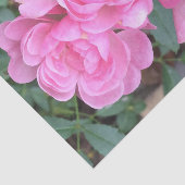 Roze, zachte Rozen Tissuepapier (Detail)