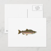 Roze zalm briefkaart (Voorkant / Achterkant)