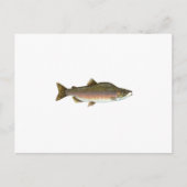 Roze zalm briefkaart (Voorkant)