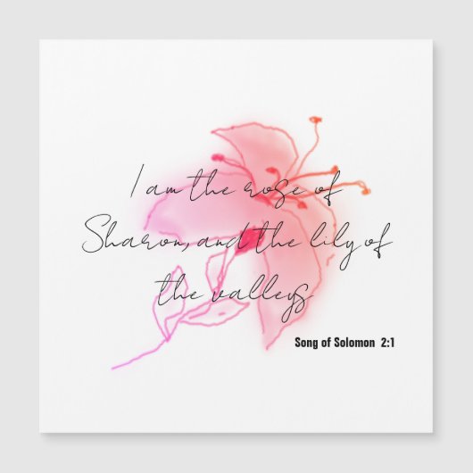 roze zalm lelie blush magneet (Voorkant)