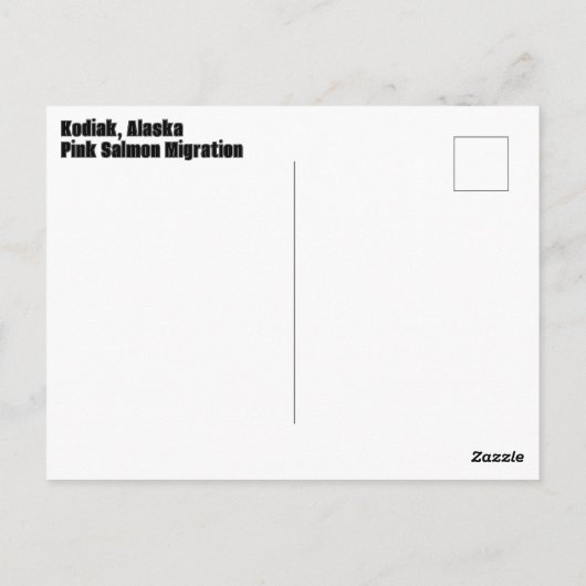 Roze Zalm migratie in Kodiak, Alaska Briefkaart (Achterkant)