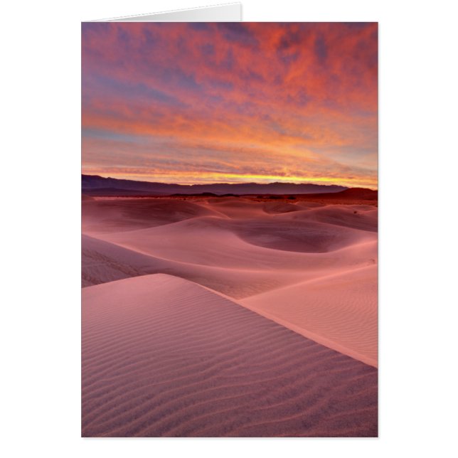 Roze zandduinen, Death Valley, CA (Voorkant)
