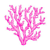 Roze zee koraalpapier tissuepapier