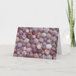 Roze Zee Schelp Vouw Dankkaart Bedankkaart